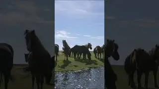 When Nature Calls:  Exploring the Enchanting World of Horses #climatechange #nature #horses #animals