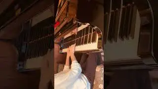 天国ドッグラン Heavenly Dog Run #piano