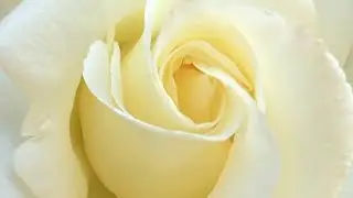 Non-Dual Meditation - You Are Meditation Itself