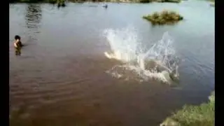 Very funny dive
