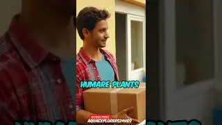 BUNNY CART aquarium plants☘️||UNBOXING & REVIEW✅ || TOP QUALITY #aquarium #unboxingandreview