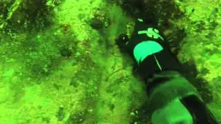 Southeast Seafoods Wild Alaska Sea Cucumber Harvest