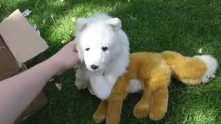 Package WWF arctic fox plush