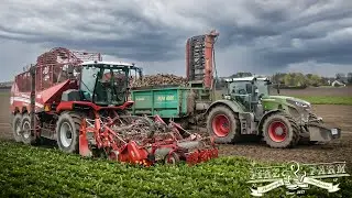 RÜBENERNTE XXL | Grimme REXOR 6300 | Fendt Vario Gen. 6 + HAWE ÜLW 4000 | Landtechnik Karow