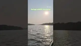 Coringa Boating#coringa#kakinada#vizag#cousinstrip#car#kakinadakaja#trending#viralshortz#boating