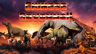 🇨🇳 Chinese Savannah