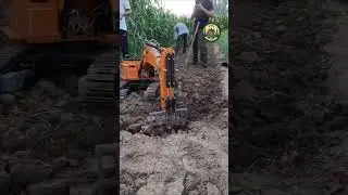 Выращивание овощей в промышленных масштабах #дача #грядки #огород #сад #деревня #парник #огурцы