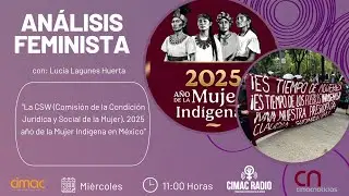 AN&Aacute;LISIS FEMINISTA: 