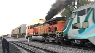 BNSF 5641 leads Metrolink 309