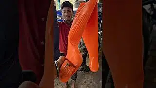 Paddy Farmer shoes farmtrac 60 #farmer#shoes vip