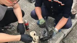 大霸王 estima diy 洗天風