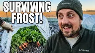 Winter Gardening Update: Surviving Frost, Vole Control & Indoor Plans