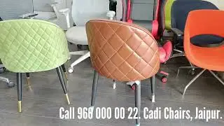 Cafeteria Chairs in Jaipur | Coffee Table Chairs | Lounge Chairs