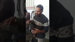 معلومه عن الجير او الفتيس