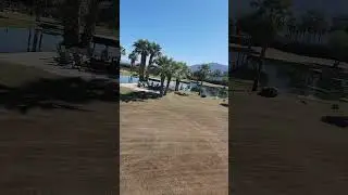 scalping bermuda grass