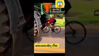 කොහොමද ඒක 😱😱😱 #shorts #respect #sinhala