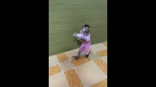 Sweet Monkey Carrying a Tiny Baby Carefully 🐒👶 | Cutest Caring Moment Ever