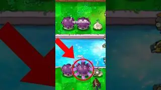 The best strategy in PvZ is not what you think