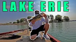 Bass Fishing Lake Erie | Sandusky Bay