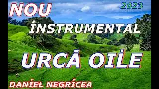 █▬█ █ ▀█▀-2023- CEA MAI FRUMOASA MELODIE DE OITE-DANIEL NEGRICEA [DOMN PROFESOR DANCIU]
