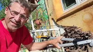 🏆 3x Beste Astschere FISCARS PowerGearX LX99 Amboss-Getriebeastschere