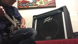 Peavey Renown 112 Solo Series USA Scorpion Speaker + Digital Reverb