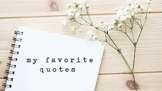 мои любимые цитаты