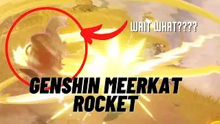 genshin mora weasel rocket...