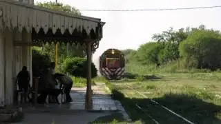 Tr&aacute;nsito Cocomarola - Claudina