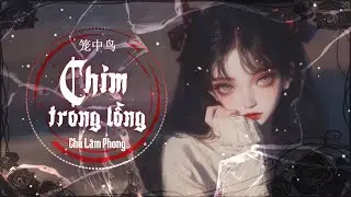 [Vietsub][4K Video] Chim Trong Lồng (Remix) - Chu L&acirc;m Phong || 笼中鸟 (节奏版) - 周林枫