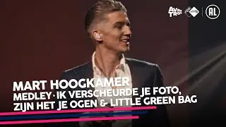 Mart Hoogkamer - Medley: Ik verscheurde je foto, Zijn het je ogen & Little green bag // Sterren NL