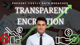 How to Prevent Costly Data Breaches in the U.S. with Powered Encryption💸