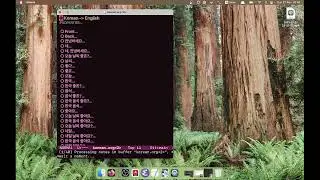 Anki and Org mode
