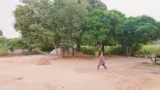 cholistan beauty home