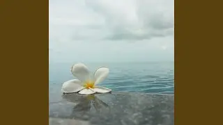 Ultimate Tranquility