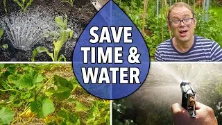 Mulching to Save Time and Water in Your Garden