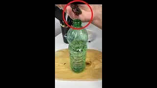 Your Home Will Never Smell the Same After This Hotel Hack