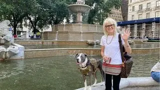 NYC LIVE Central Park & Walking 5th Avenue June 15, 2022