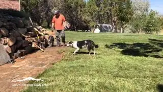 Sod Edging Time Lapse