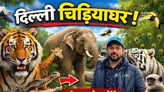 National Zoological Park Delhi | दिल्ली चिड़ियाघर | Delhi India #delhi #zoo PART-2