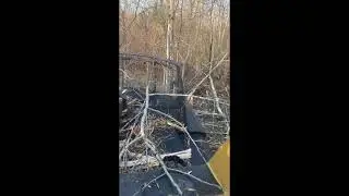 2017 BRUSH WOLF 72 M-AX For Sale
