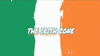 Irish Voters Asked How Their Feeling About Local And European Elections