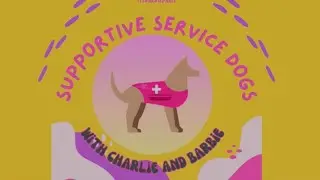 how you can register your dog to become a service dog!