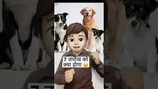 Supreme Court vs Millions of Indie Dogs India 🙌🏻
