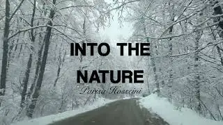 Winter Worked Its Magic Here | A Snowy Forest That Steals Your Heart ❤️