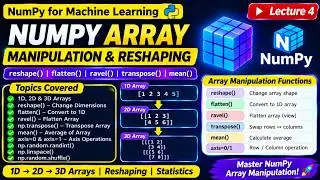 NumPy Array Manipulation | reshape(), flatten(), ravel(), transpose(), mean() | Lecture 4