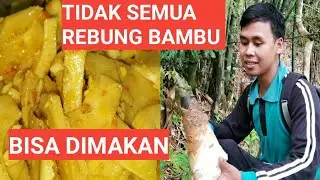 Jenis Rebung Bambu Yang Bisa Dimakan