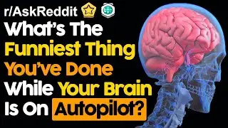 Что самое смешное вы делали на автопилоте? (r/AskReddit Лучшие посты | Истории Reddit)