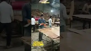 Ply Factory Live Ply Making 🔥 #plywood #asmr #industrial #vlog #factory #top #trending #viral #reels