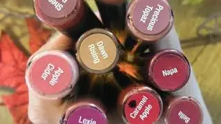 Beautiful LipSense Colors for Fall! 🍁🍂🍃